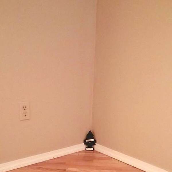 MensHumor's tweet image. When you're too poor to afford a real Christmas tree