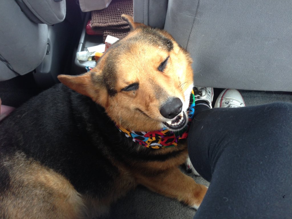 RiFF RAFF ππ
πΊπΈ on Twitter: