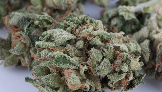 ThinkTankExile's tweet photo. A First: #Alaska #Marijuana Board Voted in Favor of Allowing Consumption at Dispensaries -  https://t.co/qVkSFORuCV https://t.co/SCun9KDBj1