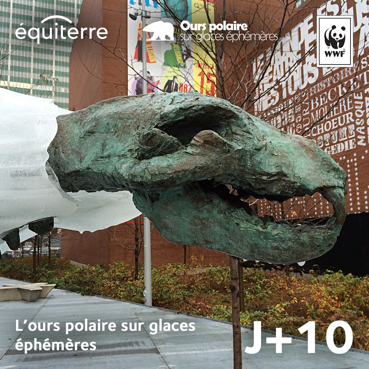 Équiterre (@equiterre) on Twitter photo L'#ourspolaire se meurt, victime des changements climatiques. bit.ly/1lBUOBm #oursdeglace <a href="/WWFCanadaFR/">WWF-Canada en français</a> L'#ourspolaire se meurt, victime des changements climatiques. bit.ly/1lBUOBm #oursdeglace <a href="/WWFCanadaFR/">WWF-Canada en français</a>