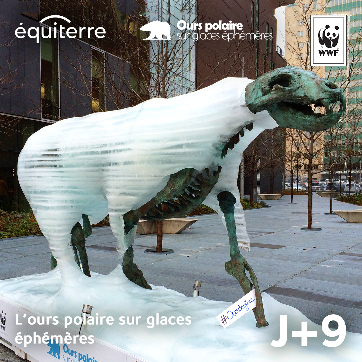 equiterre's tweet photo. L'#ourspolaire  se meurt, victime des changements climatiques. https://t.co/TKT0zog5R7 #oursdeglace @WWFCanadaFR https://t.co/ypD7njMjfu