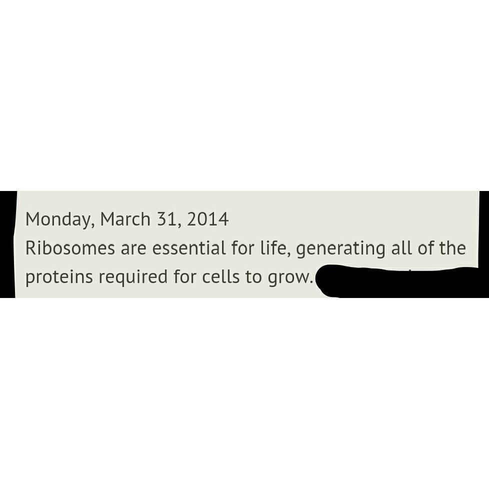 Hpsdribosome's tweet photo. @HHSNUCLEUS wanted to quote the Internet for information!👋 #hpsdbio #organellewars #Voteribosome #NoNucleus https://t.co/ULBeNYhXAK