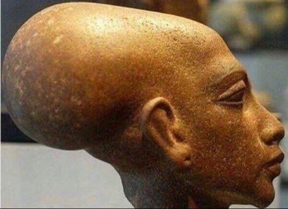 thefemaleboook's tweet photo. When your teacher keeps saying "keep this in the back of your mind, it'll be on the test" https://t.co/Sgwq6MmTQd