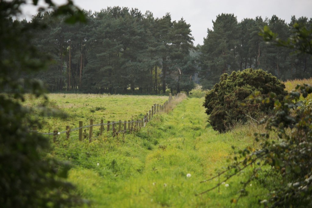NorfolkTrails's tweet photo. Hello weekend, here's the winners in our #TrailsPhotoComp: @GPearsonJPEGs (x2), Kay Davey & Henry Lethbridge. Wow! https://t.co/cTYCM62SCm