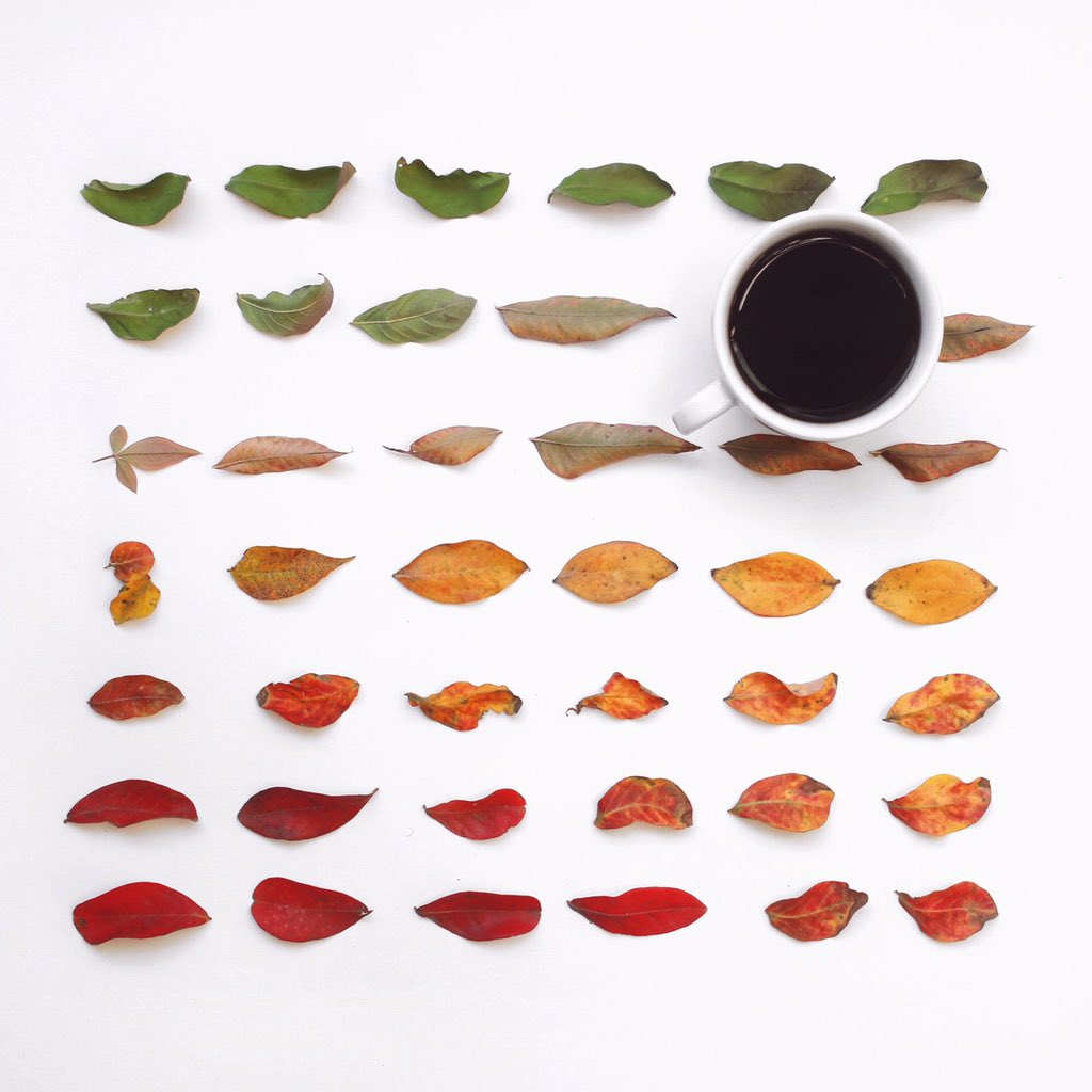 bbeyke's tweet photo. #25cupsofchristmas today with another holiday blend: @populacecoffee Joyeux. https://t.co/madlQXOqoZ