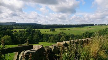 Pango Group tweet media