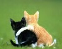 Rukunnya mereka......