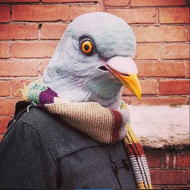 cynericltd's tweet photo. What creeps you out? #weirdo #cyneric #creepy #pigeon #follow https://t.co/qR02vnofbn