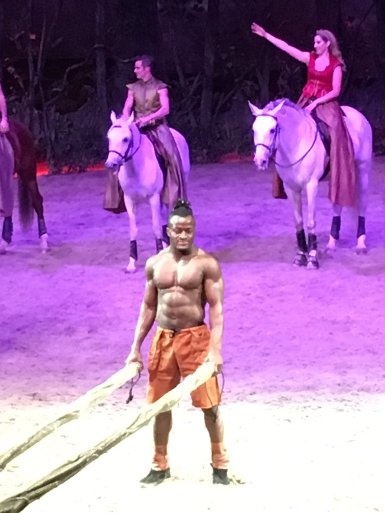 MyCastroSF's tweet photo. Some highlight's from last nights @Cavalia show! #OdyessoSF 💪🏽🐎😏 https://t.co/kfQAciixze