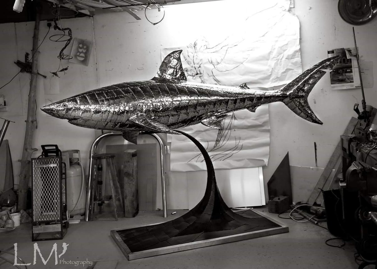 LaraMaskell's tweet photo. #michaelturnerstudios #art #shark #capturelife https://t.co/R9H4Vv3Ohd