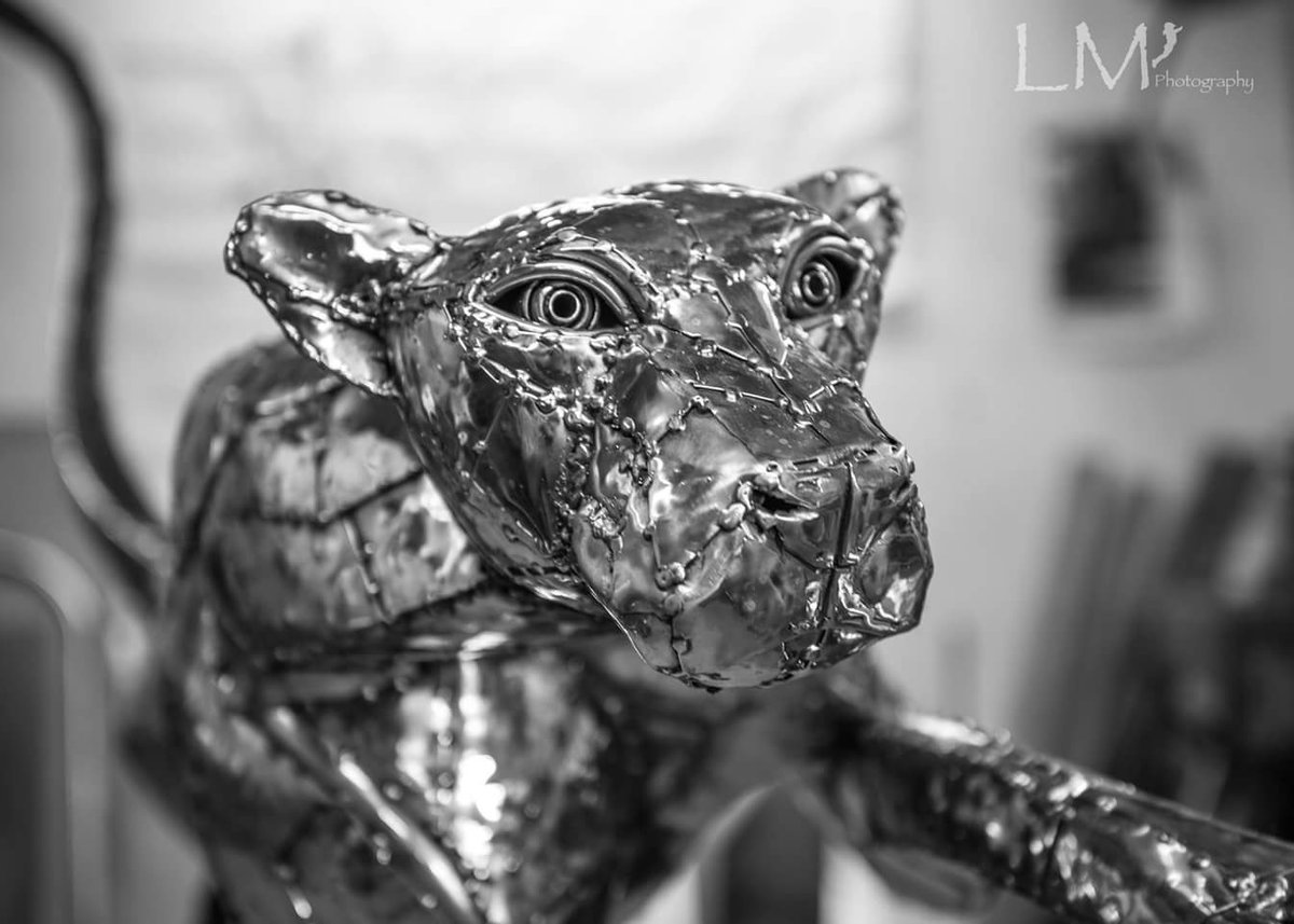 LaraMaskell's tweet photo. #michaelturnerstudios #art #cheetah #capturelife https://t.co/p3sUlHO3Z9
