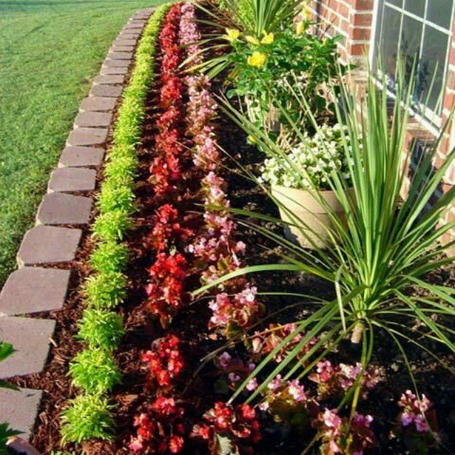 Makeyour_Garden's tweet photo. https://t.co/fKqzPzFr51