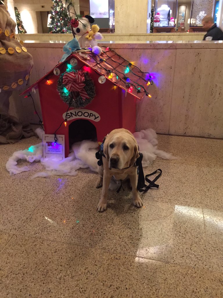 FPSSBASES's tweet photo. Forrest found a home https://t.co/LzdvEsGvHI