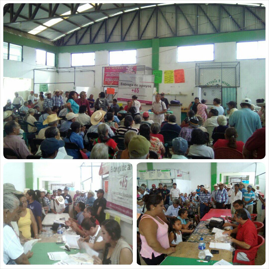 OznerolPacheco's tweet image. Pago a 442 adultos mayores de 65 y más en Xpuhil, Campeche @EPN @alitomorenoc @JoseAMeadeK @mariozamorag @JChanonaE