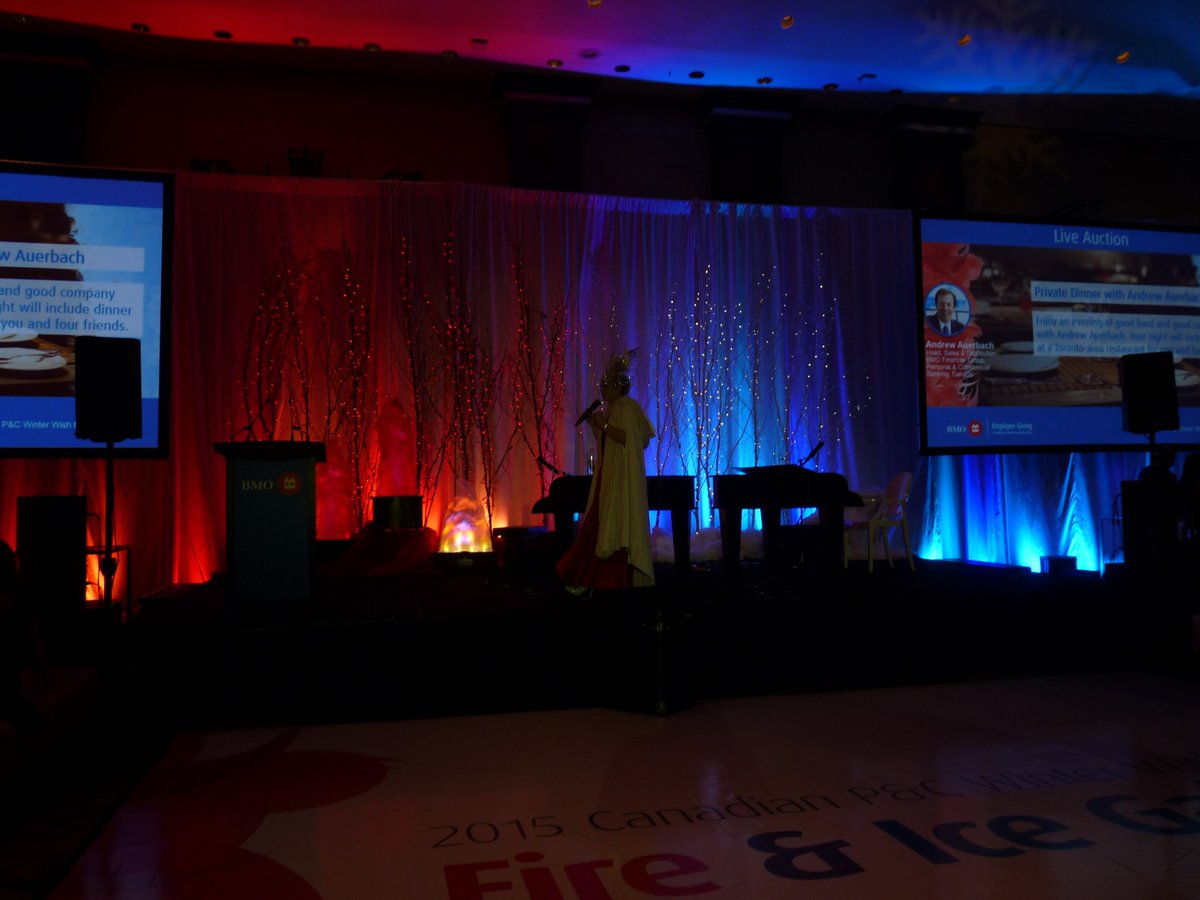 TEAuctioneers's tweet photo. Auctioneer Frances Fripp performing at the BMO Winter Wish Gala #FrancesFripp #Fundraising @BMO @UnitedWay #Charity https://t.co/JYyYOerSYo