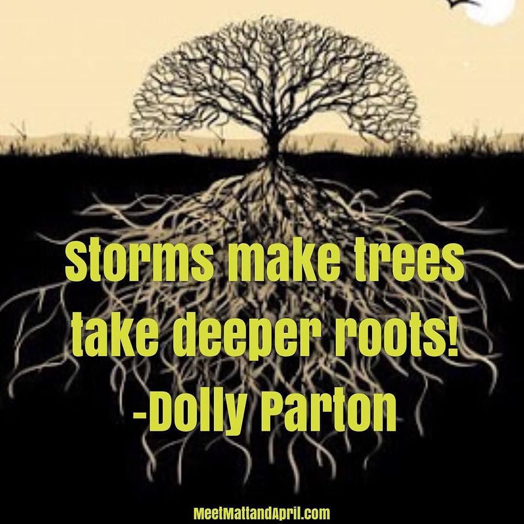 findmattley's tweet photo. Storms make trees take deeper roots! -Dolly Parton
So basically, what you're going through… https://t.co/jzBWB48JEP https://t.co/371vB6djgB