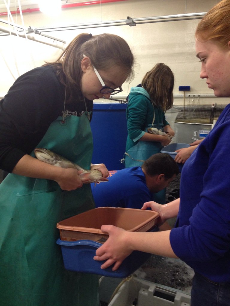 Crcskenyon's tweet photo. #mycrcs https://t.co/HywEHXrFAF