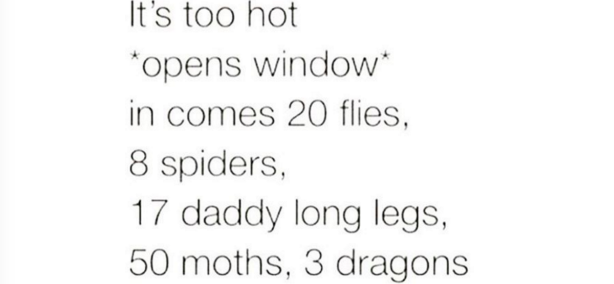 BuzzFeedOz's tweet photo. Insects during summer are NEXT LEVEL annoying https://t.co/Rry69WKaOM https://t.co/ZMXXYZ0Shf