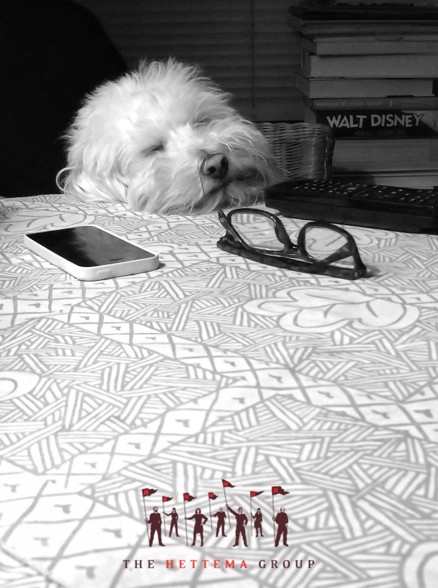 THG hopes everyone has as relaxing of a weekend as Charlie is.  #THG #HettiMutts #FridayFeeling