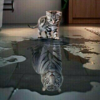 Bjuliansyah_019's tweet photo. https://t.co/0uDG0nvKdG