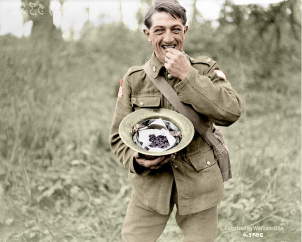 DavidWDoughty's tweet photo. #WW1 #GreatWar #FWW #WorldWar1 #FirstWW #CanadianSoldier enjoying the blackberries in 1918 - https://t.co/cBqSNgpv2R https://t.co/4Nw1d5Wns5