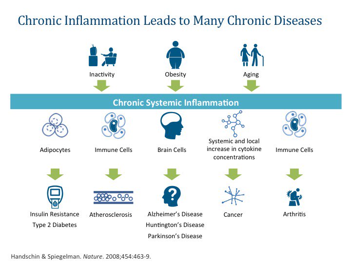 MetagenicsInst's tweet photo. Chronic inflammation leads to many chronic disease. #A4Mvegas #startheresolution https://t.co/pLSs07sdgp