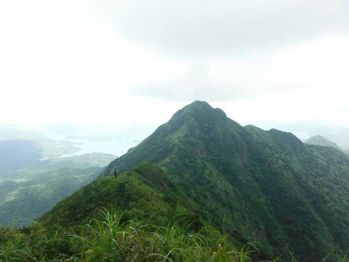 ObsessivelyTim's tweet image. Saddle Back: Ma On Shan Trail, Hong Kong. #travel #wanderlust #hiking