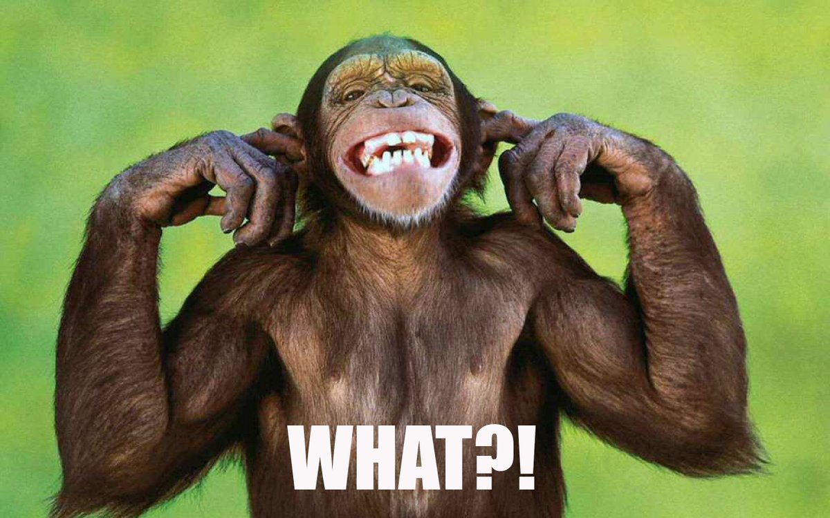 0684Blade's tweet photo. Sorry, I was in the can for a couple of minutes... Just wondering if the #IIOBC is disbanded yet? #monkeybusiness https://t.co/yMMMBiaZyL