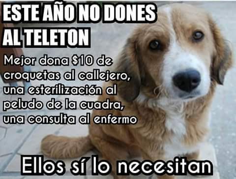 nydiacervera's tweet image. #NiUnPesoAlTeleton #Teleton2015 #TeletonMexico