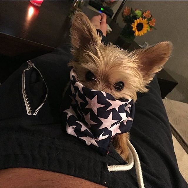 Ryan (@dccpsmoker) on Twitter photo 