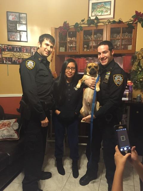 We took lost "Rocky" to a vet who scanned him for a chip. Soon after we brought him home to his happy owner.