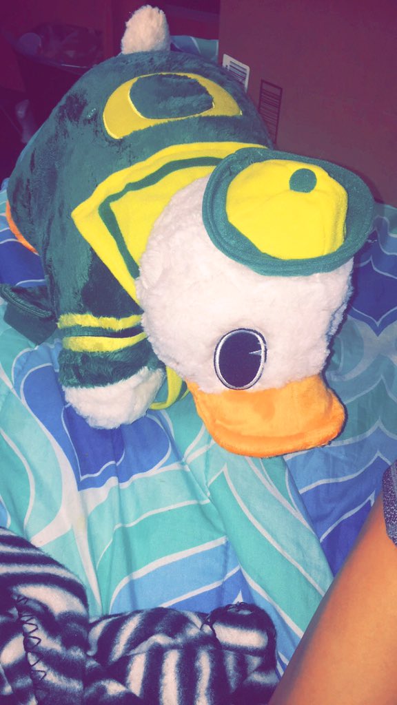 Ashley Lucas On Twitter My Roommate Got Me An Oregon Duck Pillow