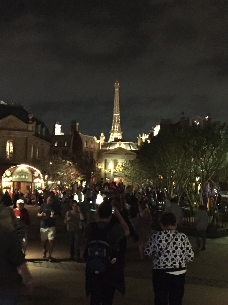 MrCreepyPasta0's tweet image. I've been planning this for a while and it finally all came together. Disney world. Epcot. Paris. She said yes.