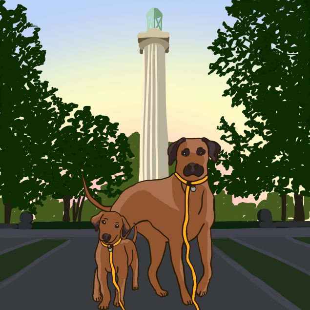 pacificparkbk's tweet photo. Meet cool Bk pups via @observer https://t.co/Kg56NTmaAH. Happy 2 welcome man's best friend in our own #dogsrun https://t.co/yc8n7uLU7p