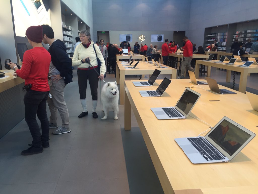 Aeromental's tweet photo. #MastersofCode #firstapplestore @frogtwitt https://t.co/AxIG9oa2us