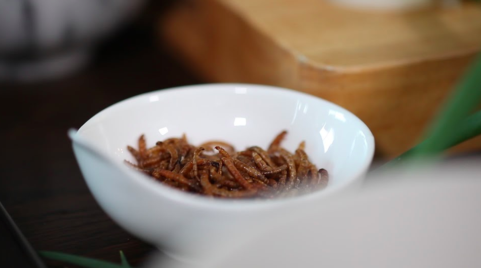 LStudioBird's tweet photo. Mealworm essential oils used as skin lotion in Asia.Not only #superfoods, #supercosmetics! https://t.co/ujUO5Jbtjw https://t.co/Akjz3X8FFT