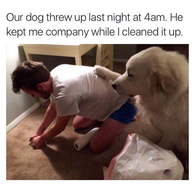 LaughterHaley's tweet photo. https://t.co/EqxJUN7Yvn