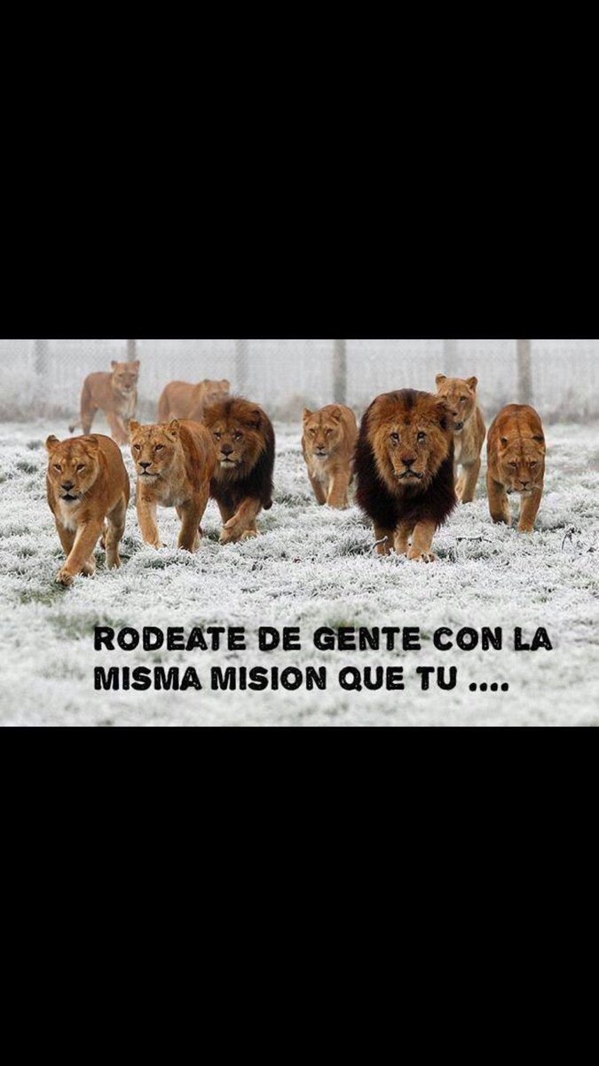 Marco3215's tweet photo. A seguir coaches fent aquesta feina. Un plaer @tronox1313 @marcsmp @SalmeFran @NuriaGuirado10 #letsgocic https://t.co/1yiWIKtdVF