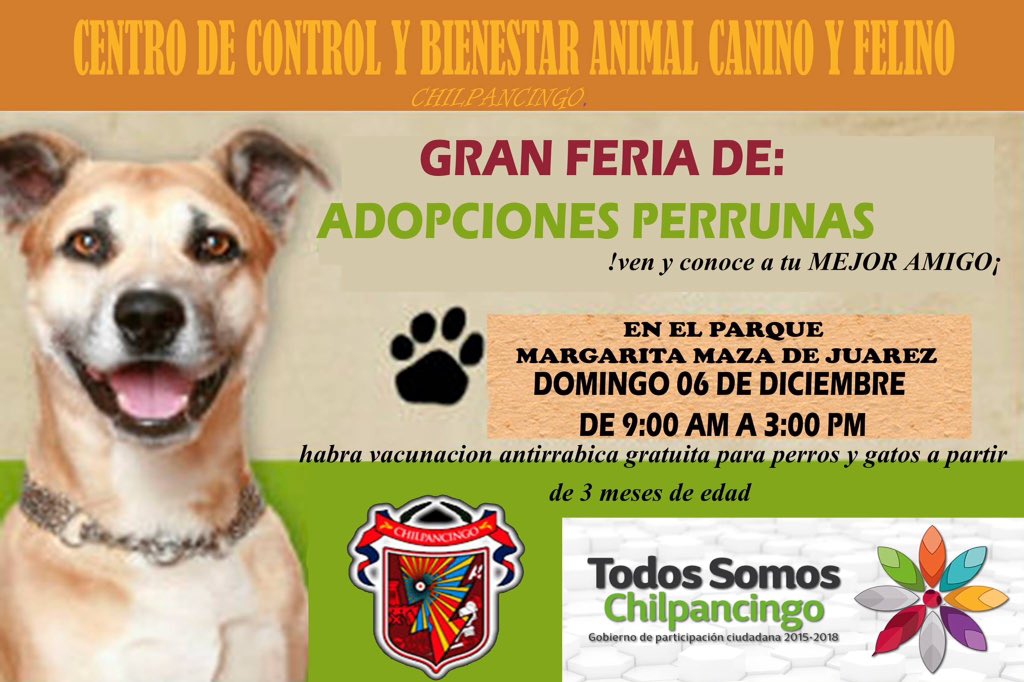 Caminata_Canina's tweet photo. #Chilpancingo #Adopciones 
NO FALTES! https://t.co/STLEBrv8Wi