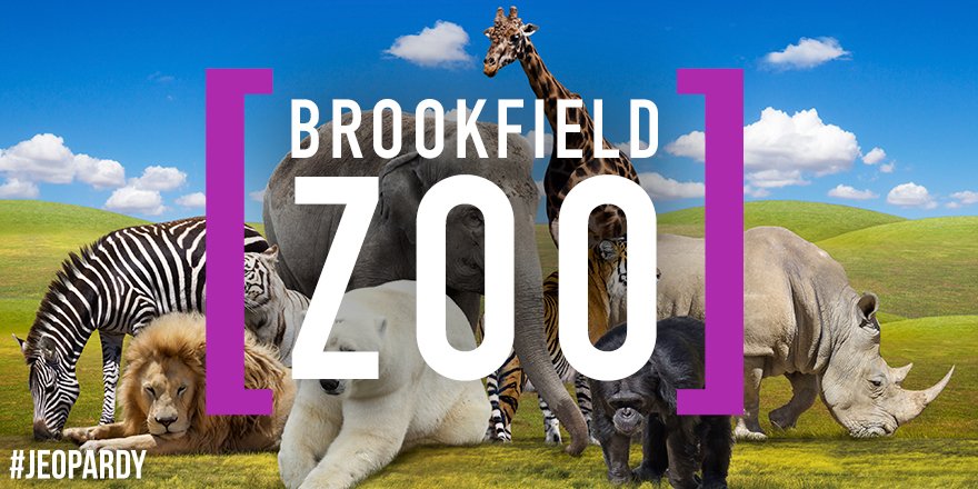 Roar episode Jeopardy clues Chicago famous brookfield zoo | Jeopardy