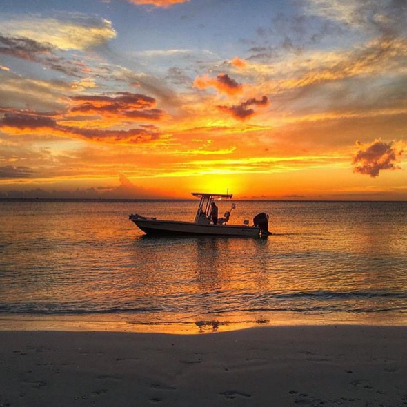 ShareALittleSun's tweet photo. A day on Florida's Paradise Coast feels like gold. Photo by @roam_florida #LoveFL #DiscoverFL https://t.co/u0WE3Ldqcn RT @ParadiseCoast