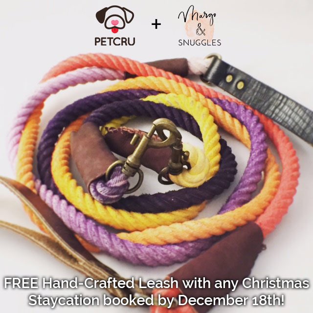 PetCru's tweet image. Book your staycation by December 18 and get a free #margoandsnuggles hand-crafted leash!