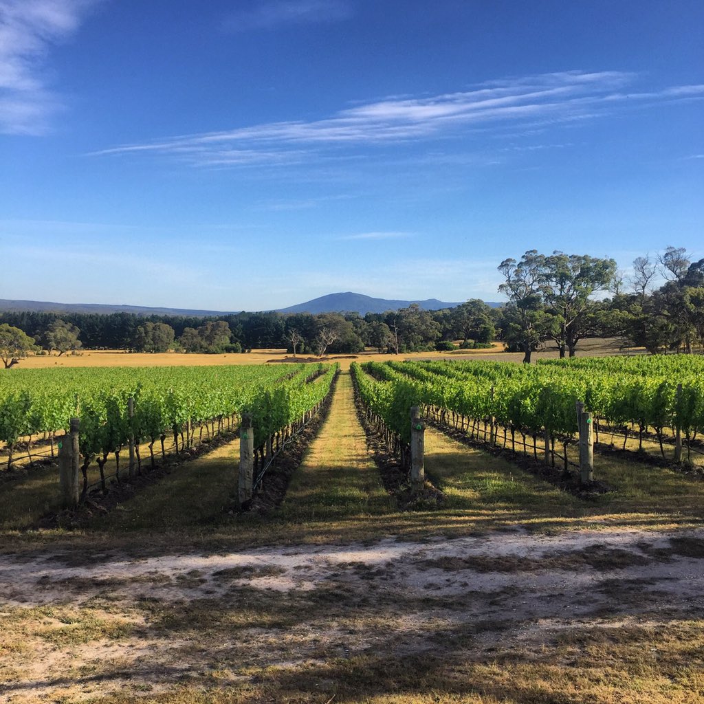 Bindi looking beaut this morning