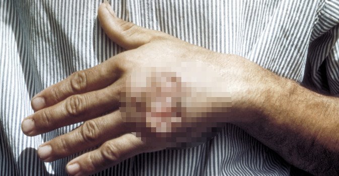 Collegamento permanente dell'immagine integrata