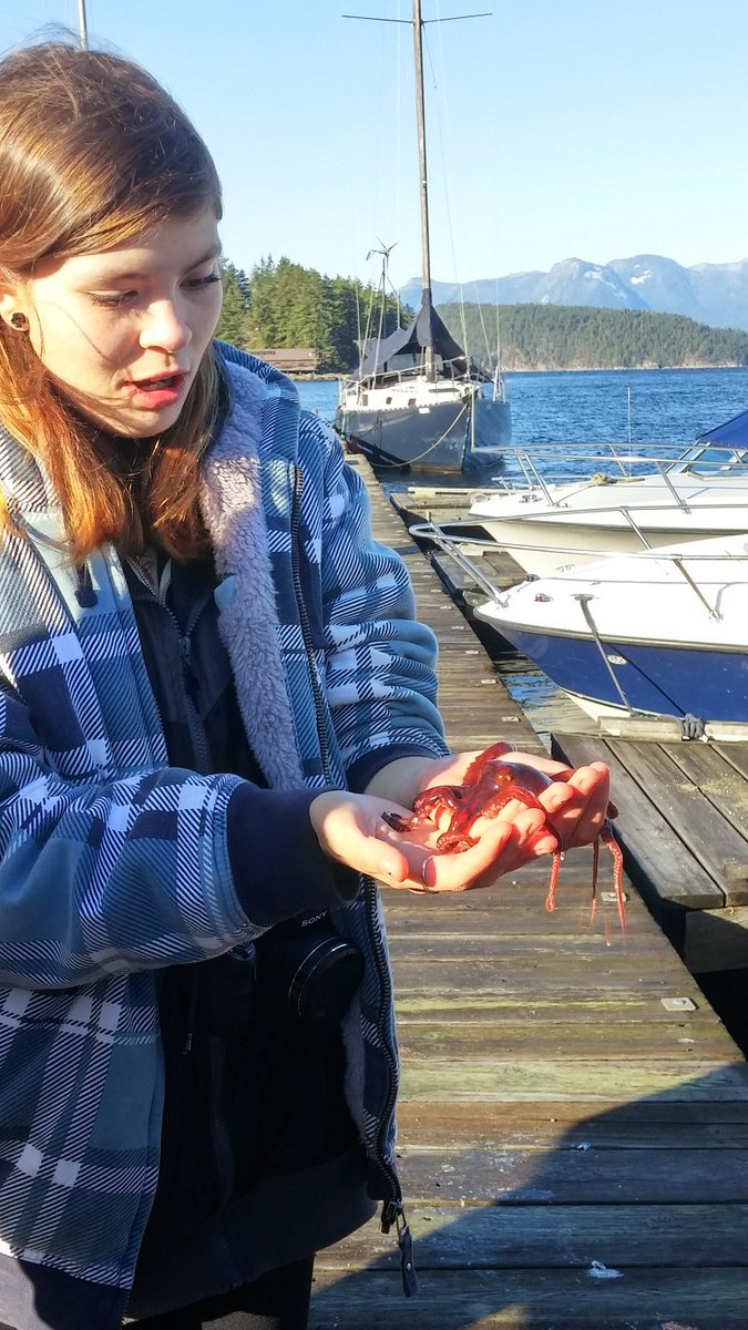 #SD46 Superb Nature based Experiential Learning in Pender Harbour @PHsecondary  ow.ly/VvGP7