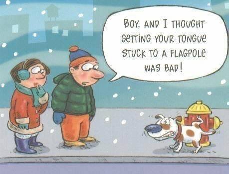 Funny Pet Photos on Twitter: Funny Pet Photos on Twitter: