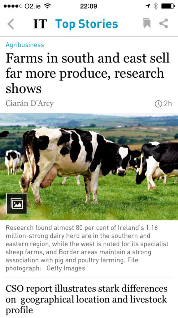 Pat_O_Keeffe's tweet image. Please @IrishTimes kindly "cull" this oft used dairy cow picture - lame, high cell count, dodgy udder &amp;amp; low EBI!