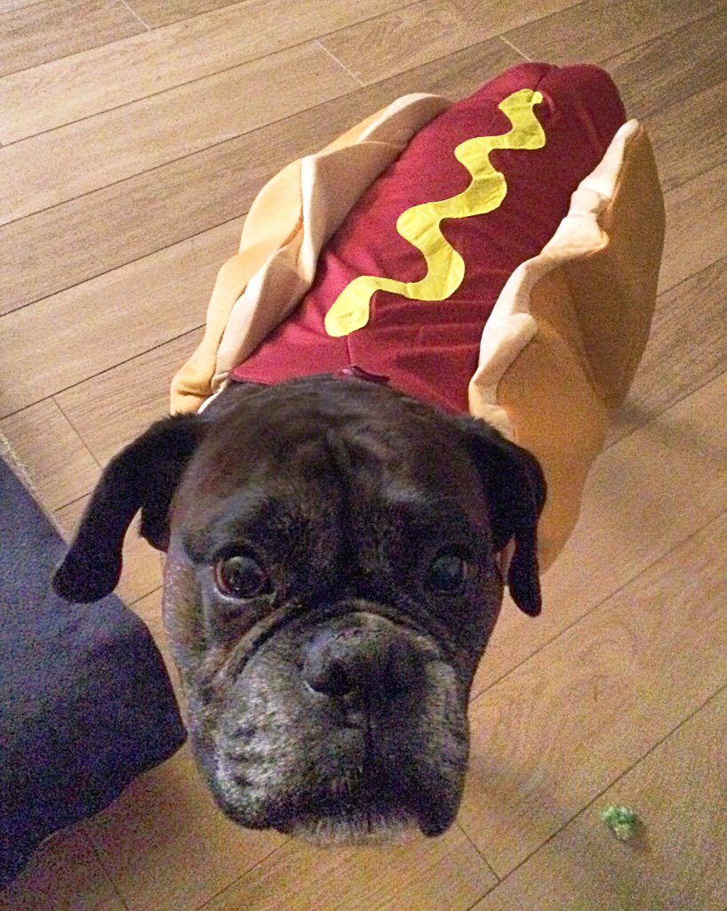 madasabox61's tweet image. @BoxerStanley made me look a fool