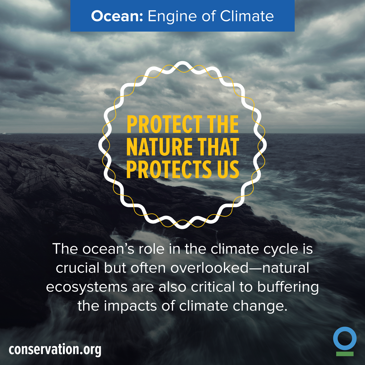 ConservationOrg's tweet image. We must protect #oceans to fight #climatechange: ci-intl.org/1kIhcZN. #COP21 #OceansDayatCOP21