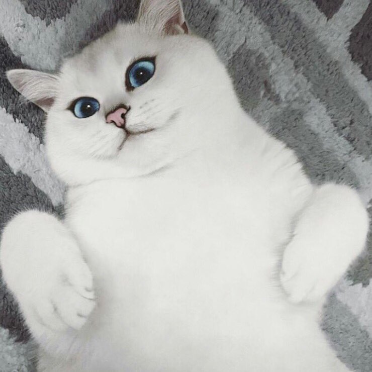 Hisyam M (@hisyamsyah07) on Twitter photo 